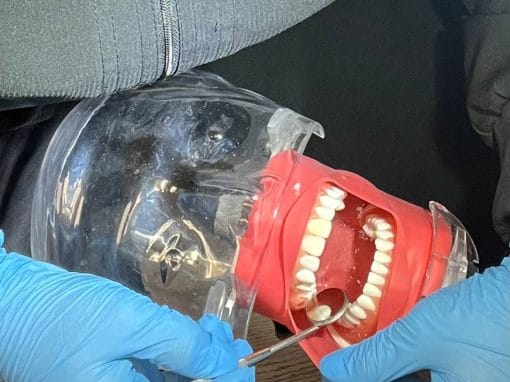 How to Get Certified as a Dental Assistant in Florida if You’re from Another Country How to Get Certified as a Dental Assistant in Florida if You’re from Another Country