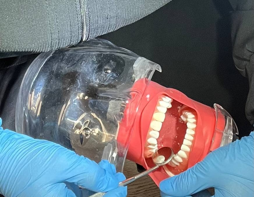 How to Get Certified as a Dental Assistant in Florida if You’re from Another Country